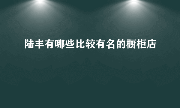 陆丰有哪些比较有名的橱柜店