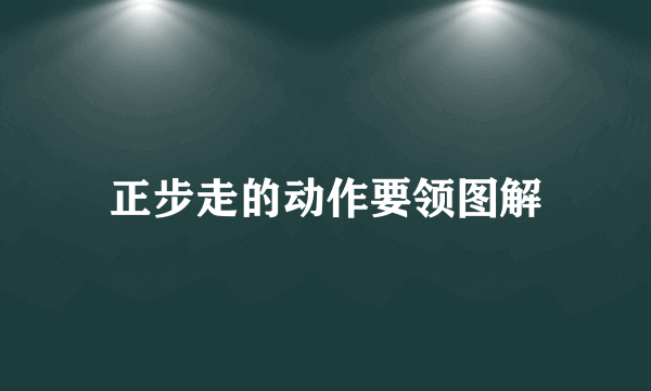 正步走的动作要领图解