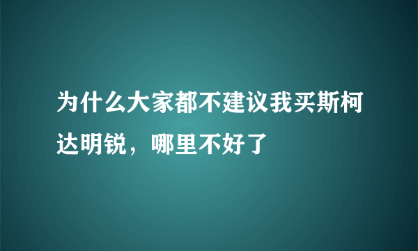 为什么大家都不建议我买斯柯达明锐，哪里不好了