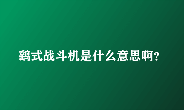 鹞式战斗机是什么意思啊？