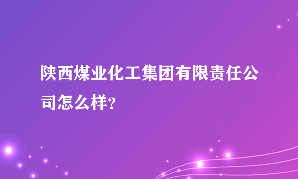 陕西煤业化工集团有限责任公司怎么样？