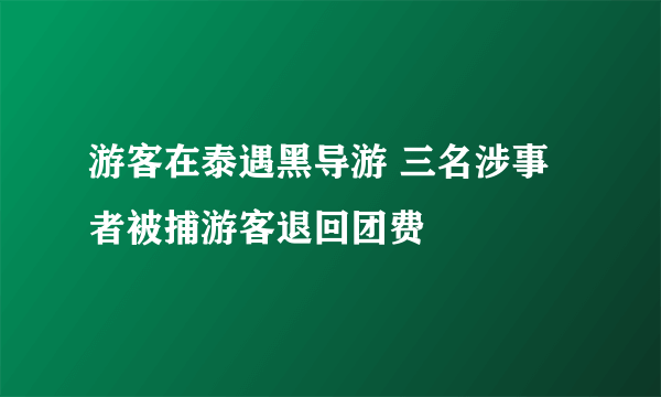 游客在泰遇黑导游 三名涉事者被捕游客退回团费