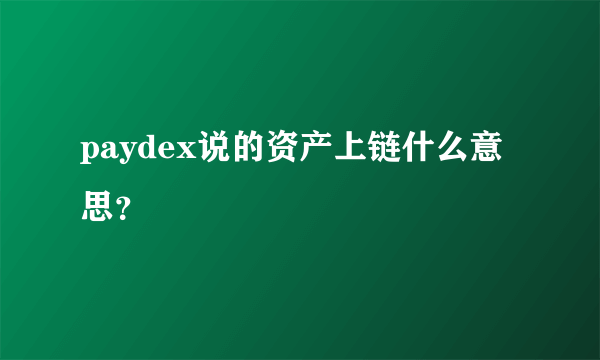 paydex说的资产上链什么意思？