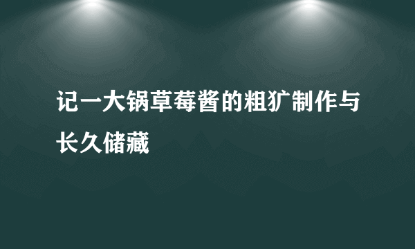 记一大锅草莓酱的粗犷制作与长久储藏