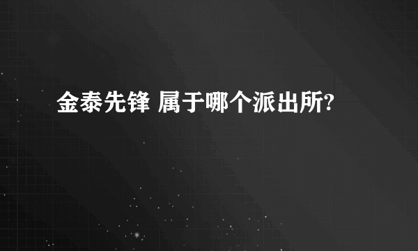 金泰先锋 属于哪个派出所?