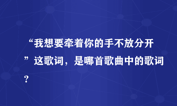 “我想要牵着你的手不放分开”这歌词，是哪首歌曲中的歌词？