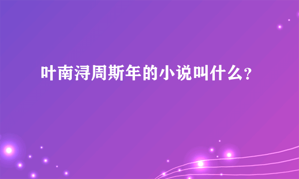 叶南浔周斯年的小说叫什么？