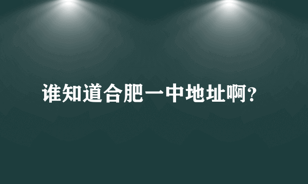 谁知道合肥一中地址啊？