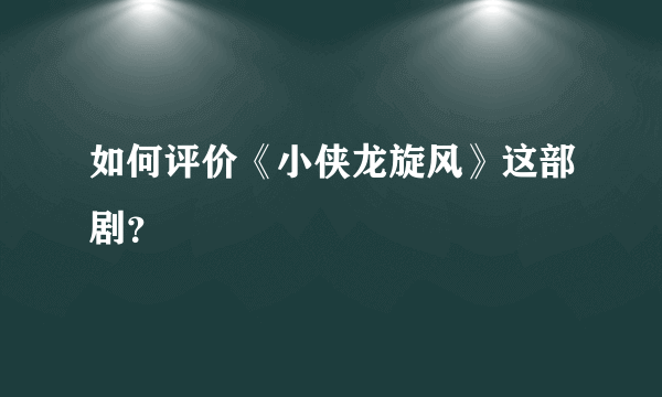 如何评价《小侠龙旋风》这部剧？