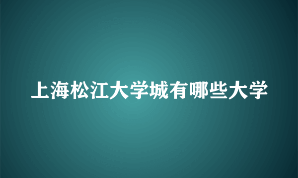 上海松江大学城有哪些大学