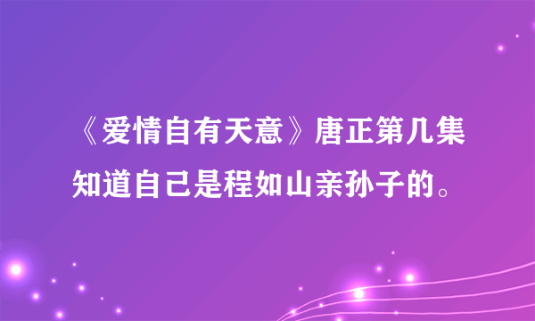 《爱情自有天意》唐正第几集知道自己是程如山亲孙子的。