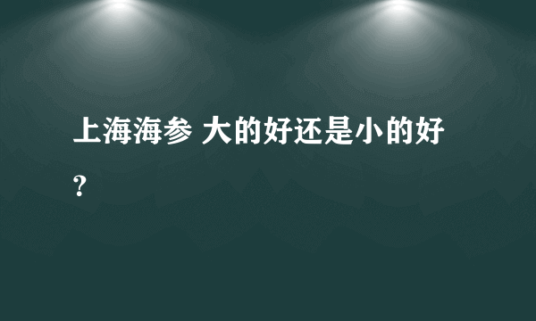 上海海参 大的好还是小的好？