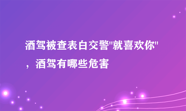 酒驾被查表白交警