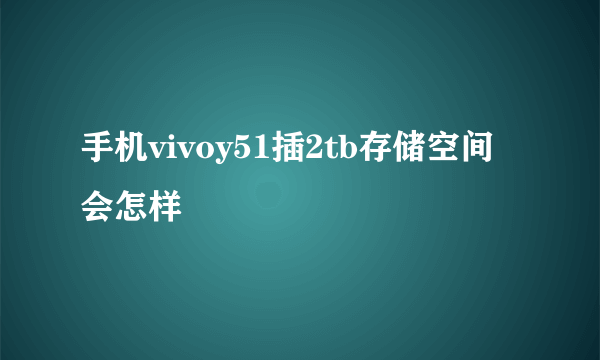 手机vivoy51插2tb存储空间会怎样