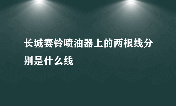 长城赛铃喷油器上的两根线分别是什么线