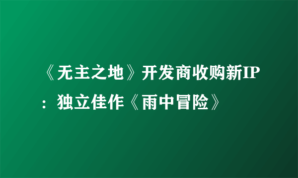 《无主之地》开发商收购新IP：独立佳作《雨中冒险》