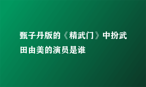 甄子丹版的《精武门》中扮武田由美的演员是谁