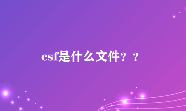 csf是什么文件？？