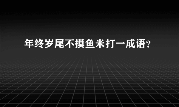 年终岁尾不摸鱼米打一成语？