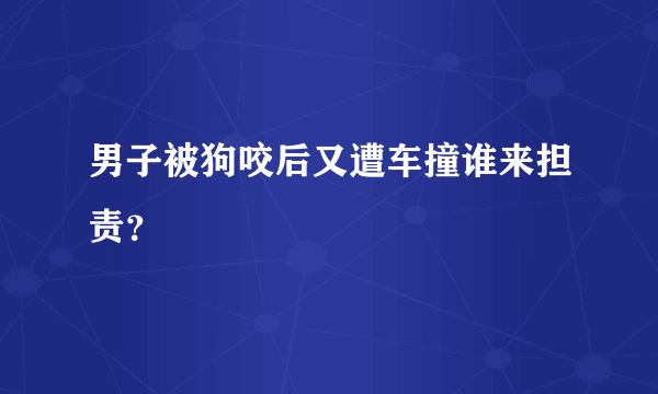 男子被狗咬后又遭车撞谁来担责？