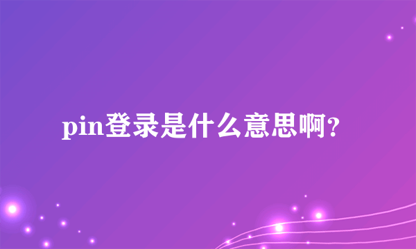 pin登录是什么意思啊？