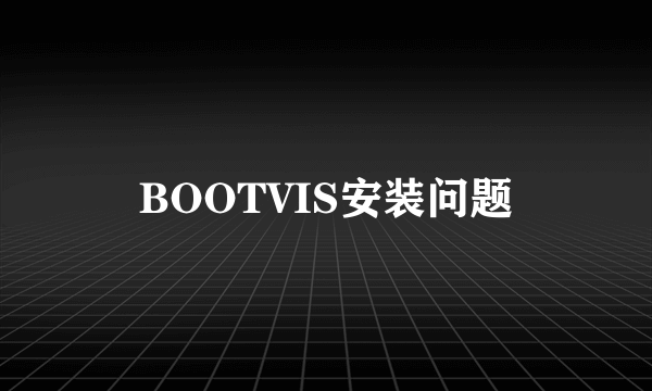 BOOTVIS安装问题