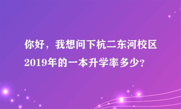 你好，我想问下杭二东河校区2019年的一本升学率多少？