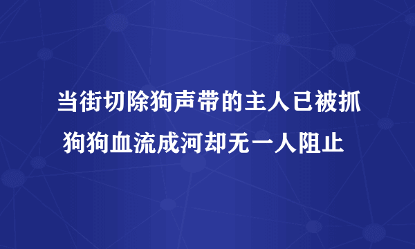 当街切除狗声带的主人已被抓 狗狗血流成河却无一人阻止