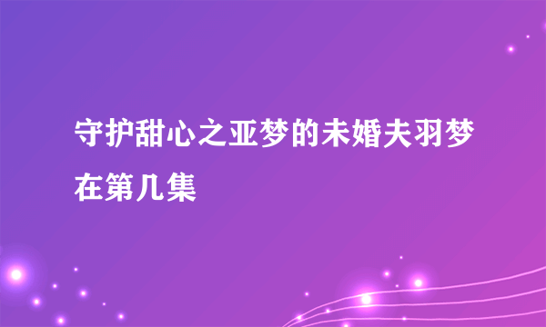 守护甜心之亚梦的未婚夫羽梦在第几集