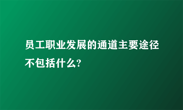 员工职业发展的通道主要途径不包括什么?