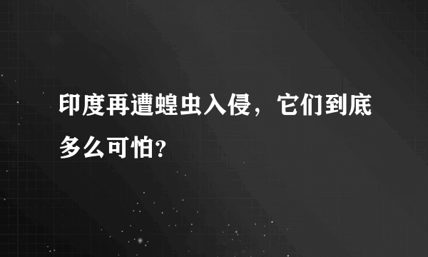 印度再遭蝗虫入侵，它们到底多么可怕？