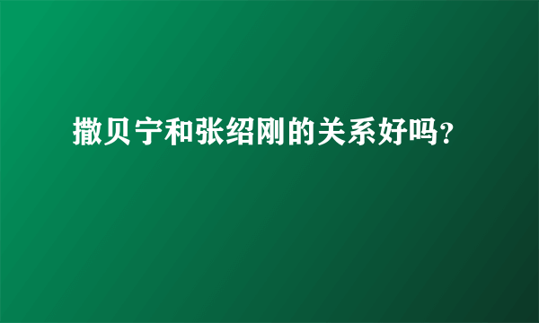 撒贝宁和张绍刚的关系好吗？