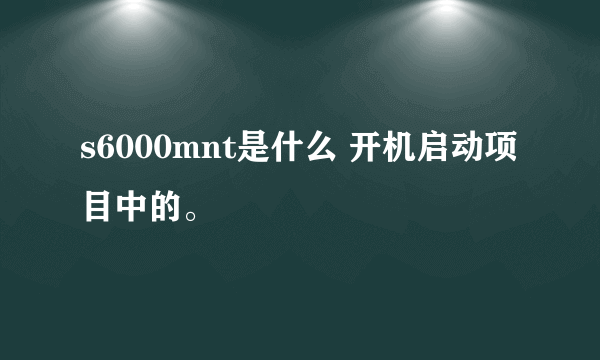 s6000mnt是什么 开机启动项目中的。