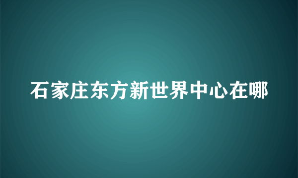 石家庄东方新世界中心在哪