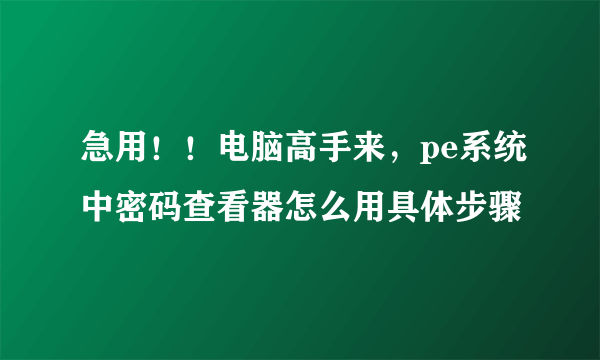 急用！！电脑高手来，pe系统中密码查看器怎么用具体步骤