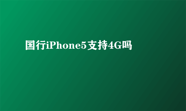 国行iPhone5支持4G吗