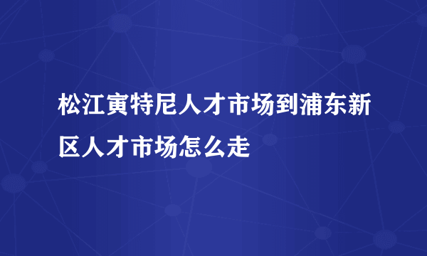 松江寅特尼人才市场到浦东新区人才市场怎么走