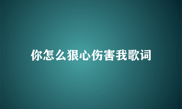 你怎么狠心伤害我歌词