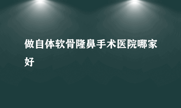 做自体软骨隆鼻手术医院哪家好