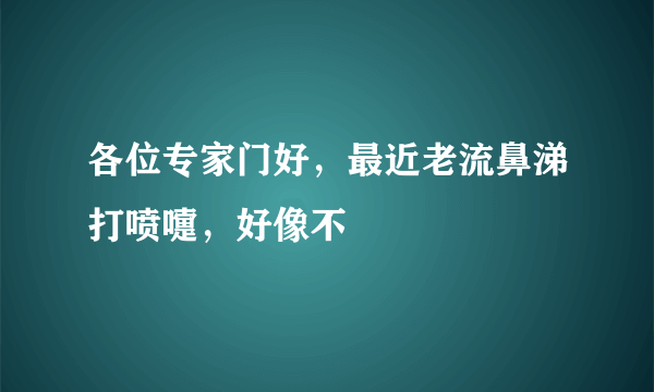 各位专家门好，最近老流鼻涕打喷嚏，好像不