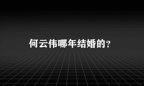 何云伟哪年结婚的？