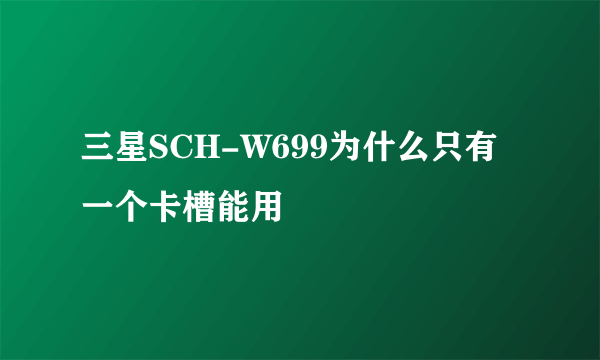 三星SCH-W699为什么只有一个卡槽能用