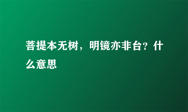 菩提本无树，明镜亦非台？什么意思