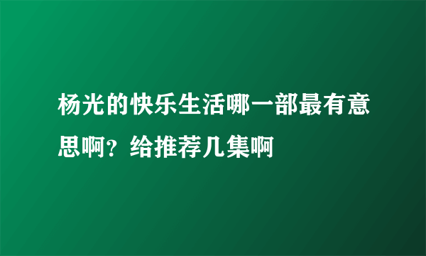 杨光的快乐生活哪一部最有意思啊？给推荐几集啊