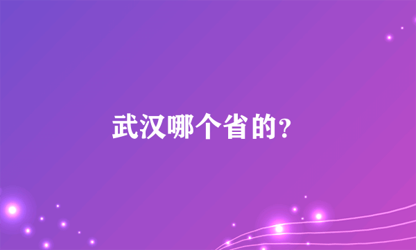 武汉哪个省的？