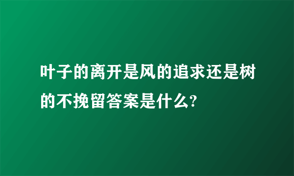 叶子的离开是风的追求还是树的不挽留答案是什么?