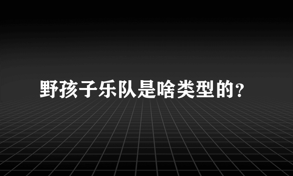 野孩子乐队是啥类型的？