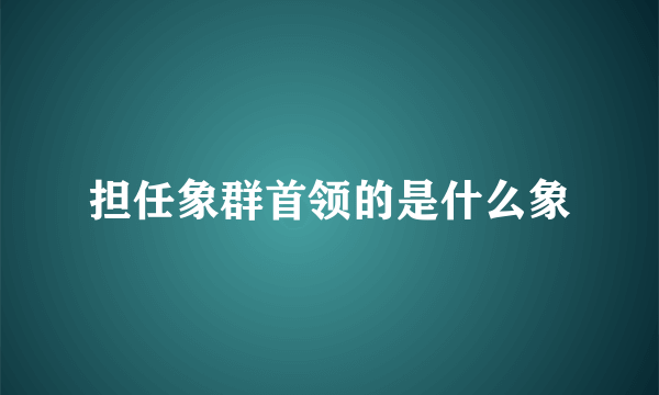 担任象群首领的是什么象