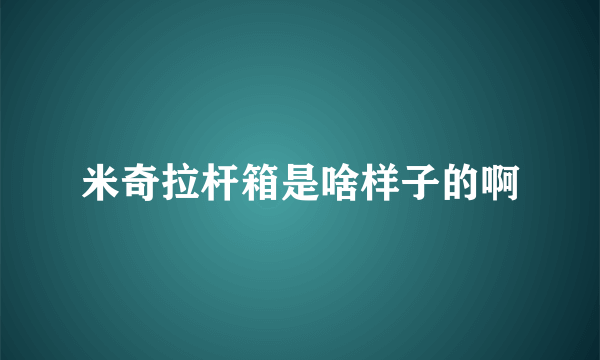 米奇拉杆箱是啥样子的啊