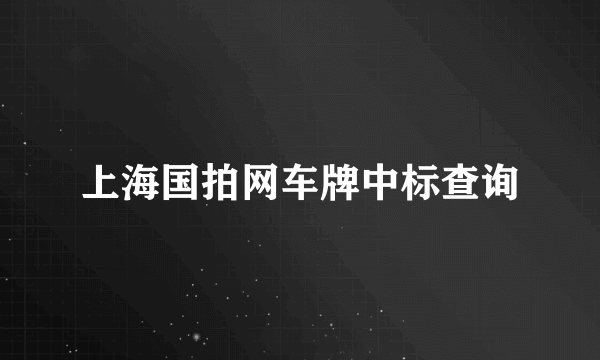 上海国拍网车牌中标查询